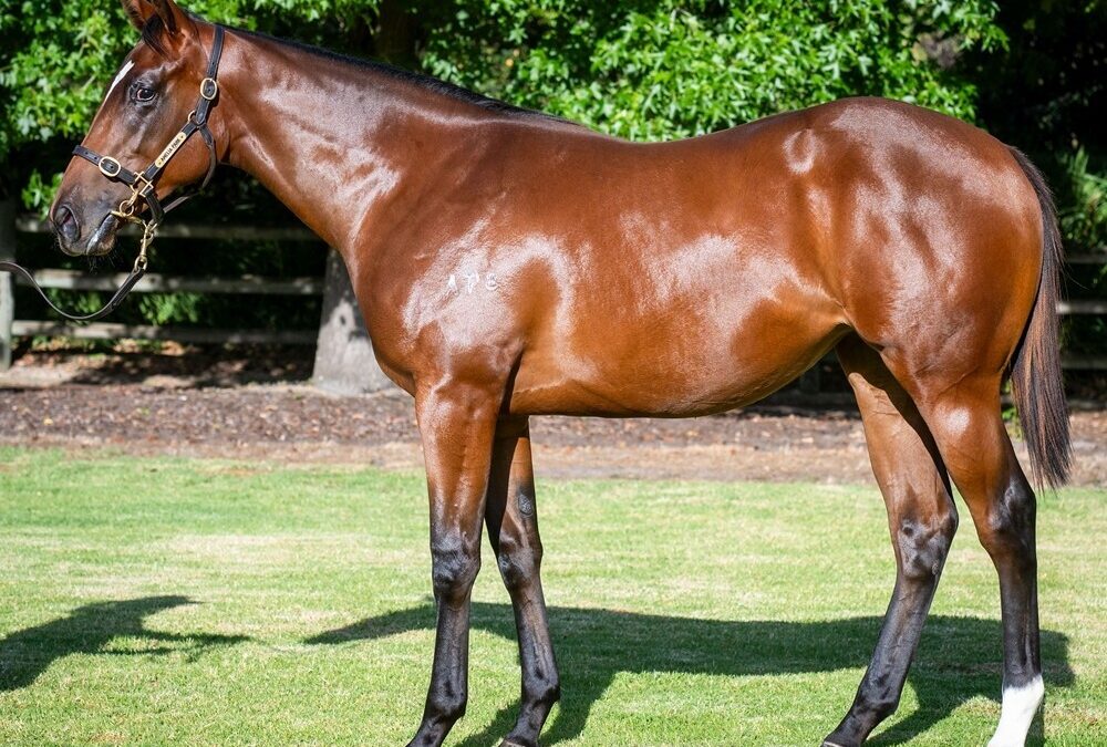 Blue Point x Witchfulthinking