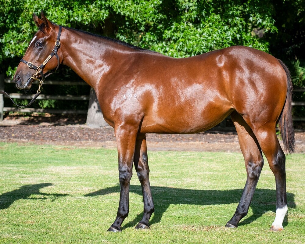 Blue Point x Witchfulthinking